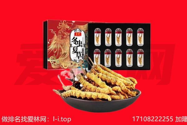 贡嘎县回收虫草.jpg